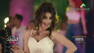 قناه المولد اتلم القرد علي النسناس 