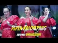 Download Lagu PEPEH KALOMPANG AFIFAH VANESSA New Andrena (0812 9026 2538) WEDD IKE NURJANAH \u0026 ISMAIL CIKETING UDIK