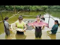 Download Lagu Buying Huge Fish From Farmers, Use 3-Wheel Truck To Transport Many Big Fish To Market To Sell