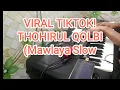 Download Lagu VIRAL Thohirul qolbi (Mawlaya Merduhh! MP3