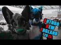 Anthro New England 2025 ANE 2025