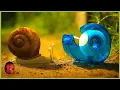 Download Lagu The Vegetable Garden | Minuscule 🍃 20' Compilation
