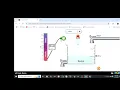 Measuring pH values of Different solutions or substances using PhET Science Simulation Laboratory