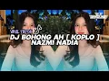 Lagu DJ BOHONG AH|| DJ TIKTOK TERBARU