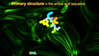 Protein Structure University Of Surrey