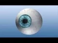 Vancouver Laser Eye Surgery - Lasik PRK in Vancouver BC