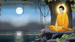 VỨT BỎ THỨC ĂN CHÍNH LÀ ĐANG RÚT HẾT PHƯỚC CỦA CHÍNH MÌNH!!! VIDEO PHẬT GIÁO GIÁC NGỘ GIẢI THOÁT