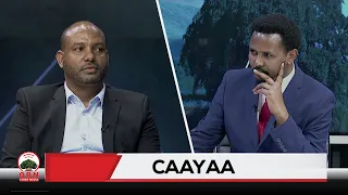 Caayaa OBN Gurraandhala 10 2017 