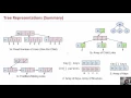 Lecture 24 Part 3 Tree Represenations