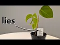 This is why people kill houseplants