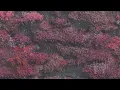 Download Lagu Sleep Token - Past Self LYRICS