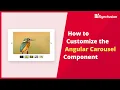 How to Customize the Angular Carousel Component