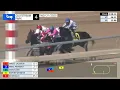 Gulfstream Park November 21 2025 Race 4