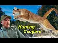 Is ODFW Changing Cougar Hunting Laws