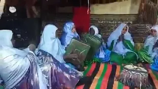 تيندي نأجر  تيندي نأجر
