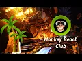 Download Lagu OCEANNN DJ Set  @ Monkey Beach Club Tenerife (La Prohibida 25/5/25)