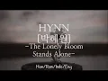 HYNN [박혜원] - The Lonely Bloom Stands Alone | Han/Rom/Indo/Eng Lyrics
