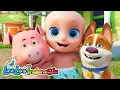Download Lagu 🐕Suara Hewan | Lagu Anak Anak | LooLoo Indonesia