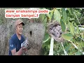 Download Lagu Akhirnya terjawab sudah rasa penasaranku! Anakanya pada banyak banget