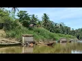 Download Lagu Misteri Kampung Dayak Tanpa Penghuni di Pedalaman Sungai Teweh. Desa SAMPIRANG 1 Barito Utara.