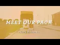 Hollywood Feed - CDL Team