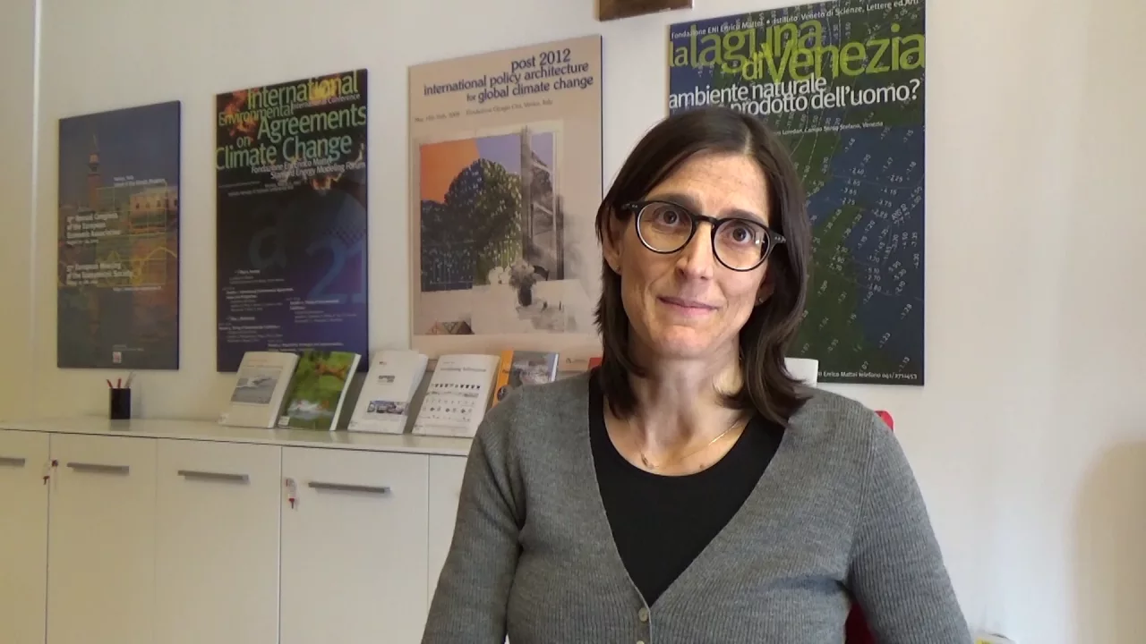 Enrica De Cian MITP researcher discusses energy innovation