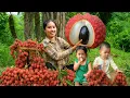 Download Lagu Harvesting RIPE Lychees to sell at the market - Buying nutritious milk for my little daughter