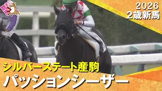 パッションシーザーが人気に応えてデビュー勝ち！角田騎手「すぐステッキに反応してくれました」2026年10月25日(日)２歳新馬　京都ダート1400m　実況：服部優陽【カンテレ公式】