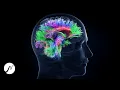 Download Lagu Activate 100% Brain Potential - Genius Brain Frequency - Beta Waves (Brainwaves)