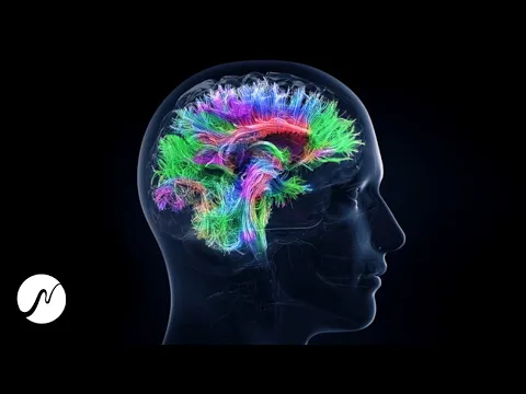 Download MP3 100% di attivazione del potenziale cerebrale - frequenza geniale - onde beta (onde cerebrali)