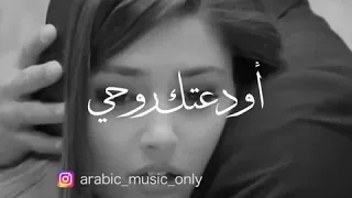 محمد عارضه لا شيء انا 