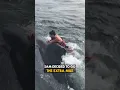 Man rides whale for all the right reasons