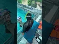 Download Lagu I Had My First Student Enroll In The Padi Mermaid Course