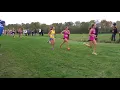 Tasty Race Emma Wilson Wins Indiana XC State Championship