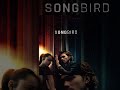 Video di Songbird