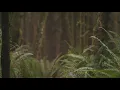 Clatsop County residents criticize free land giveaway proposal