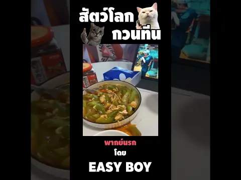สัตว์โลกกวนตีน พากย์นรก #short #easyboy #คลิปฮา #เบสไวน์