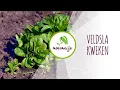 Download Lagu Veldsla kweken: van zaaien tot oogsten