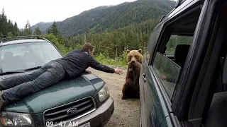 A crying bear brought her dying cub to this man, and the incredible happened! Story