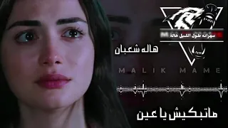 سهران ه ط ول الل  يل هالة دندنها