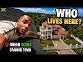 What I Found Touring Green Acres Jamaica