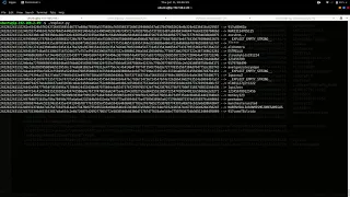 Exploiting basic authentication