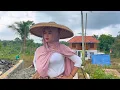 Download Lagu WOOW....BIKIN SALFOK MELIHAT KECANTIKAN NENG IDOY GADIS DESA CANTIK AKTIVITAS DI PEDESAAN