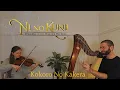 Download Lagu Kokoro No Kakera (Pieces of a Broken Heart) – Violin and Harp cover