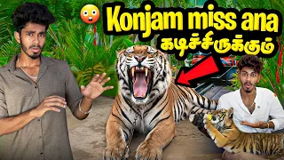Kutty Puli ku Paal kuduka polama ? 🍼🤯🔥 | #funwithsiblings 