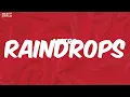 Metro Boomin - Raindrops (Lyrics)
