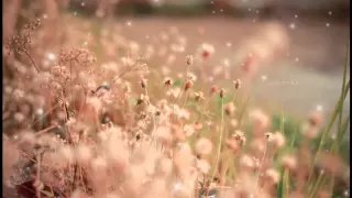 waqafat hurufi muhammad al muqit