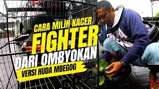 Download Cara Memilih Burung Kacer Yang Fighter Dari OMBYOKAN😎 #pancingankacergacor MP3