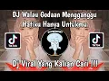 Download Lagu DJ WALAU GODAAN MENGGANGGU HATIKU HANYA UNTUKMU | DJ BUKAN KALENG KALENG VIRAL TIK TOK 2024 !