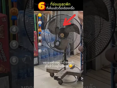 6 ช็อตงูโผล่... โคตรพีก! 🐍💥